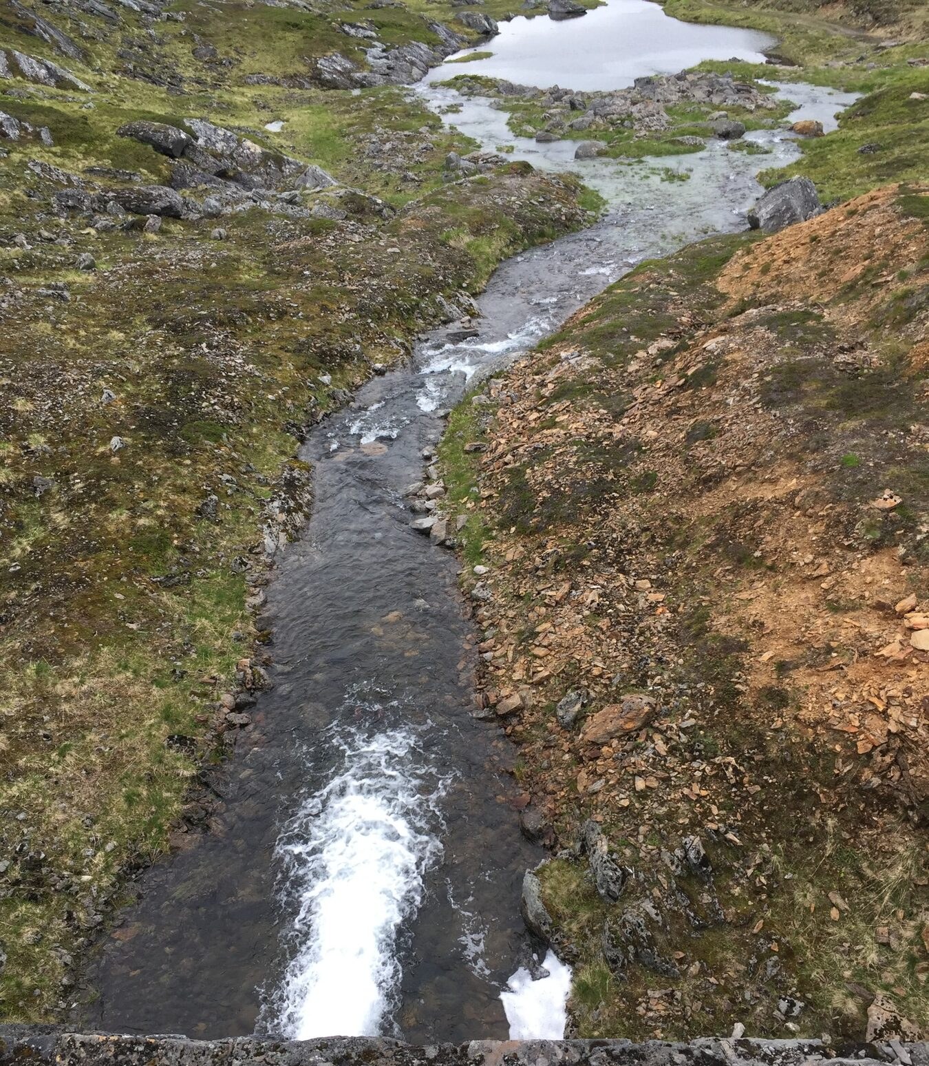Vannstrøm som renner mellom gresskledde skrenter