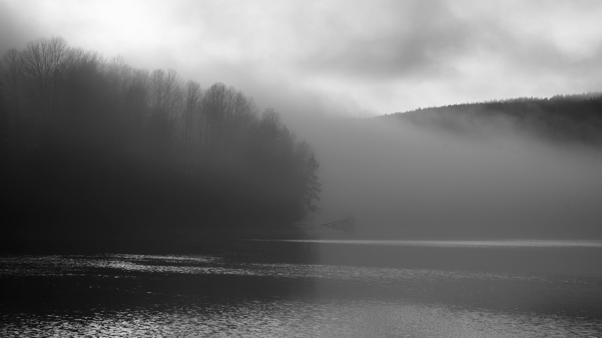 Tåkete innsjø med skogkledd strand og mykt lys